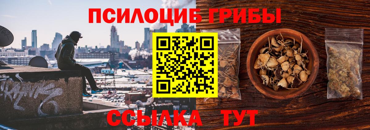 Псилоцибиновые грибы мухоморы  Вход с VPN  цены наркотик  Кубинка 